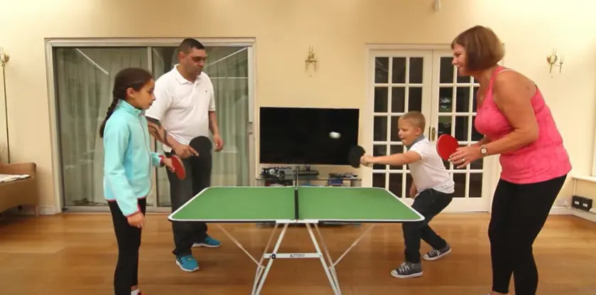 Butterfly Family Mini Table Tennis Table