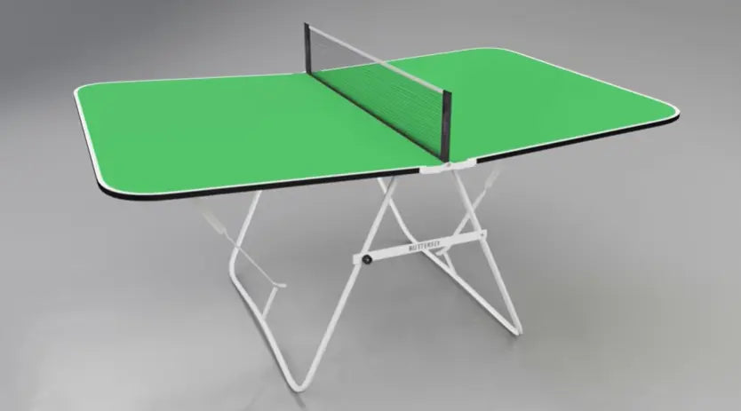 Butterfly Family Mini Table Tennis Table