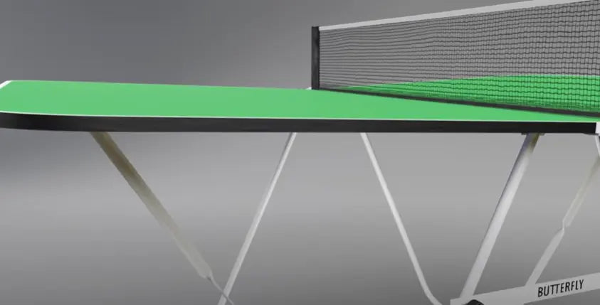 Butterfly Family Mini Table Tennis Table